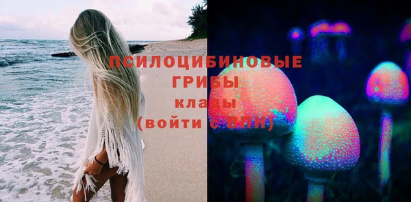 эйфоретик Новозыбков