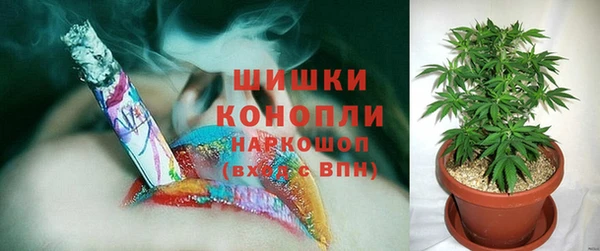бошки Корсаков