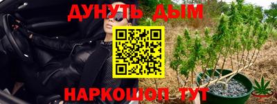 тгк Гатчина
